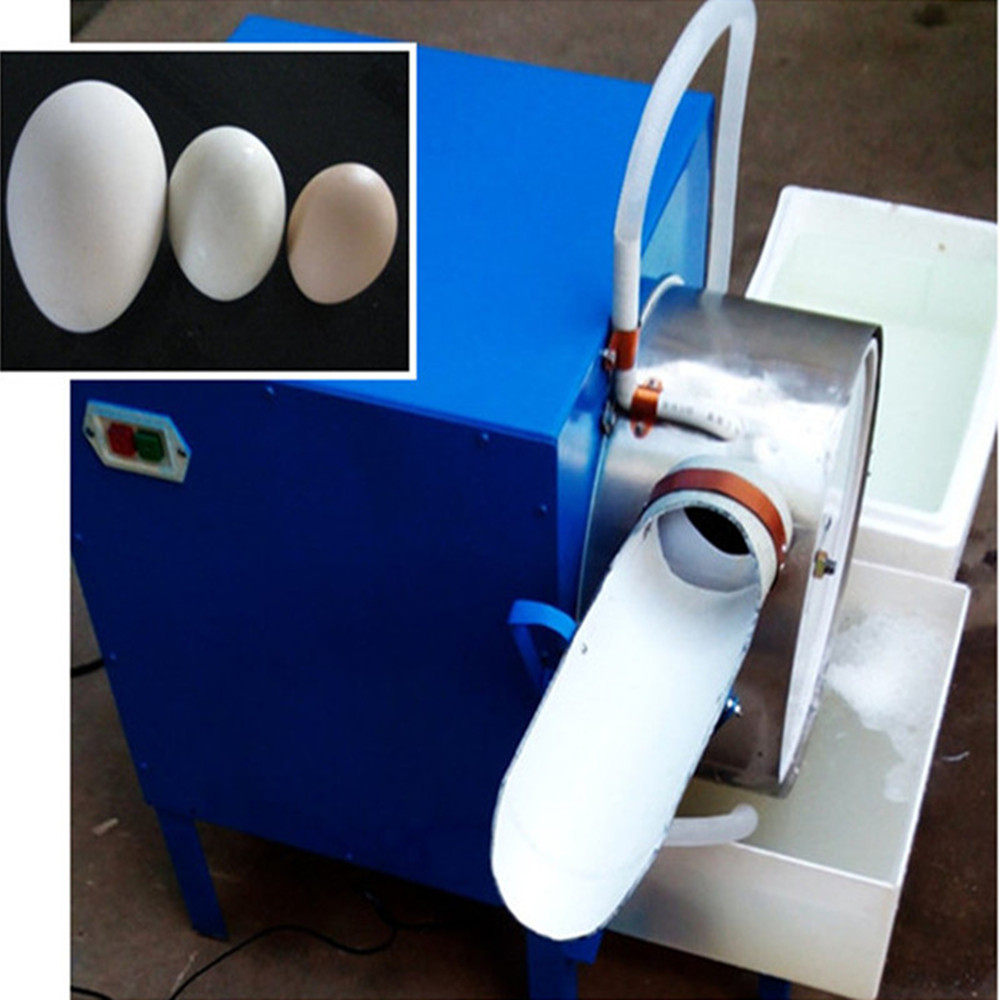 Automatic Hen Egg Cleaner Machine Brush Duck Goose Egg Washing Machine -  China Egg Washer Washing Machine, Duck Egg Cleaning Machine